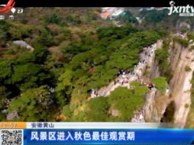 安徽黄山：风景区进入秋色最佳观赏期