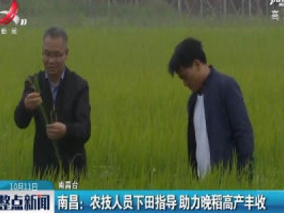 南昌：农技人员下田指导 助力晚稻高产丰收