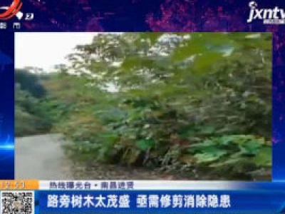【热线曝光台】南昌进贤：路旁树木太茂盛 亟需修剪消除隐患