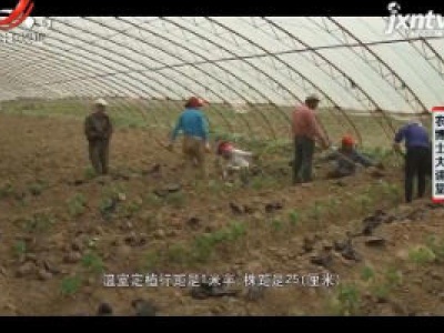 农博士大讲堂20201016 提子的温室栽培方法