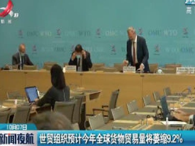 世贸组织预计2020年全球货物贸易量将萎缩9.2%