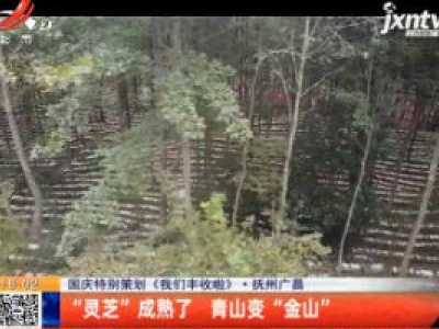 【国庆特别策划《我们丰收啦》】抚州广昌：“灵芝”成熟了 青山变“金山”