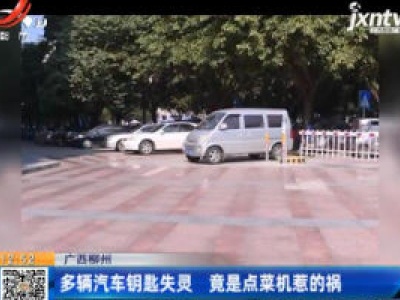 广西柳州：多辆汽车钥匙失灵 竟是点菜机惹的祸