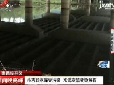 南昌经开区：小吉岭水库受污染 水体变黑死鱼遍布