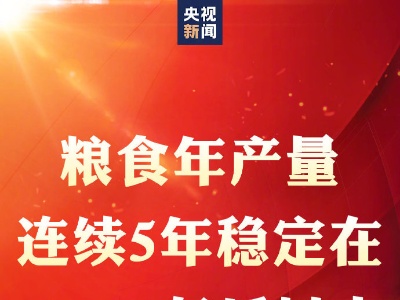 粮食年产量连续5年稳定在13000亿斤以上