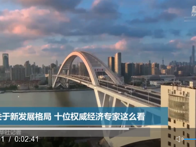 关于新发展格局 十位权威经济专家这么看