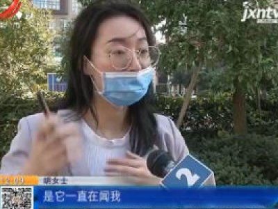 南昌：去“芒果私人影咖”消费 女子被猫咬伤