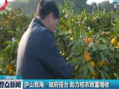 庐山西海：政府搭台 助力桔农致富增收