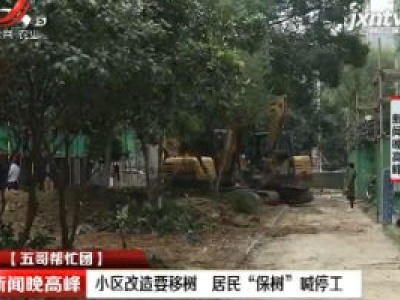 【五哥帮忙团】南昌：小区改造要移树 居民“保树”喊停工