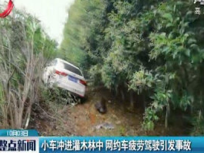 江西：小车冲进灌木林中 网约车疲劳驾驶引发事故