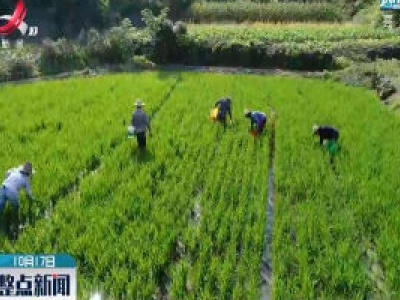 江西：力争到2022年超七成水稻“上保险”