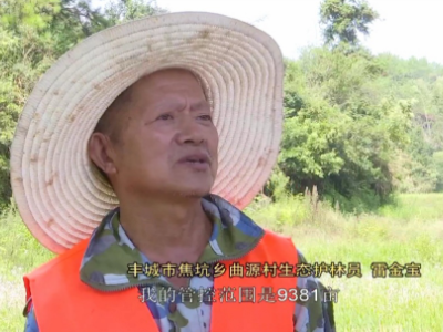 林业扶贫你来看︱生态护林员，护绿又脱贫