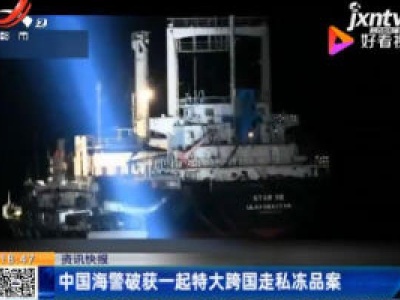 中国海警破获一起特大跨国走私冻品案