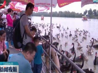 新闻夜航20201005