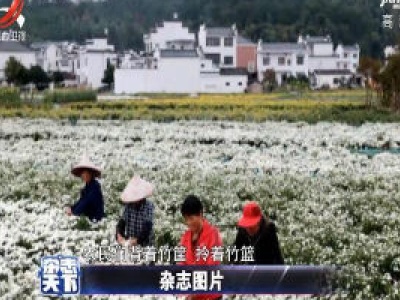 杂志天下20201020