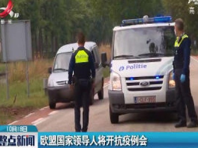 欧盟国家领导人将开抗疫例会