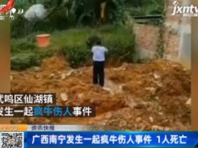 广西南宁发生一起疯牛伤人事件 1人死亡