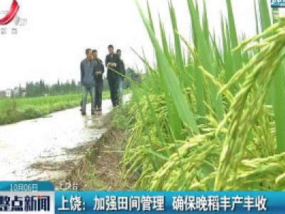 上饶：加强田间管理 确保晚稻丰产丰收