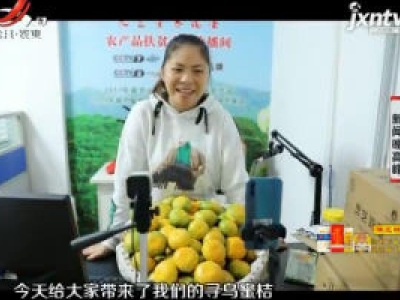 寻乌县：蜜桔丰收啦！ 网上直播带货销量旺