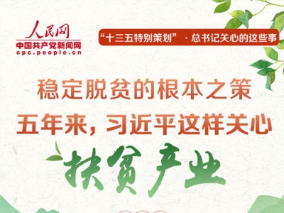五年来，习近平这样关心扶贫产业