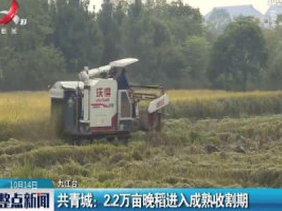 共青城：2.2万亩晚稻进入成熟收割期