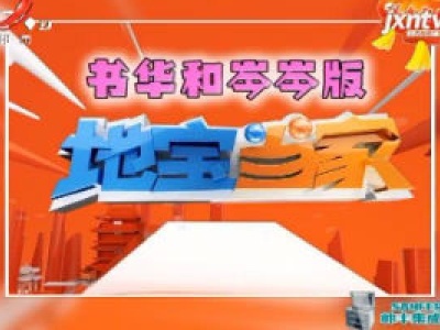 书华和岑岑版地宝当家