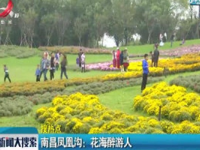 新闻大搜索20201008