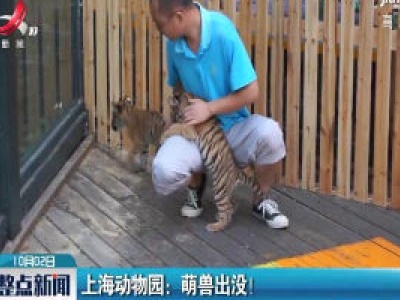 上海动物园：萌兽出没！