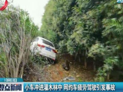 江西：小车冲进灌木林中 网约车疲劳驾驶引发事故