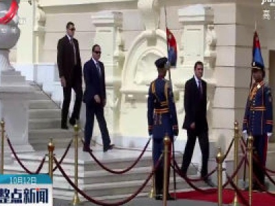 埃及总统批准与希腊达成的海上边界协议