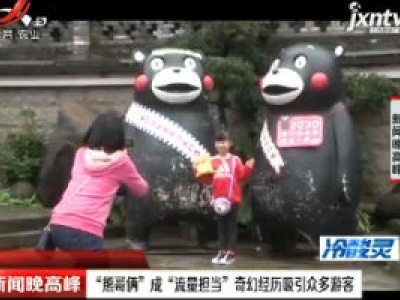 重庆：“熊哥俩”成“流量担当”奇幻经历吸引众多游客
