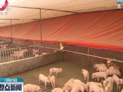 江西生猪产能连续13个月环比增长