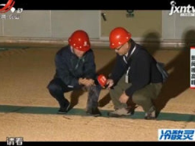 中储粮公众开放日：存粮十万吨的粮库为啥不见鸟觅食