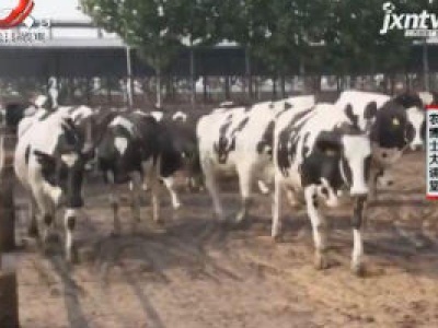 农博士大讲堂20201012 奶牛生产性能测定与日粮调控