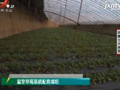 农博士大讲堂20201001 温室草莓基质配套栽培