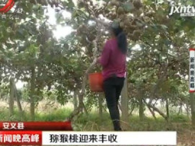 新闻晚高峰20201014