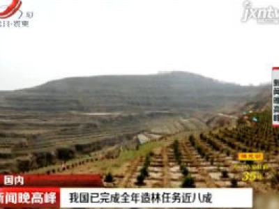 我国已完成全年造林任务近八成
