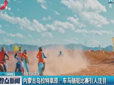 【欢度中秋国庆】内蒙古乌拉特草原：车马骆驼比赛引人注目