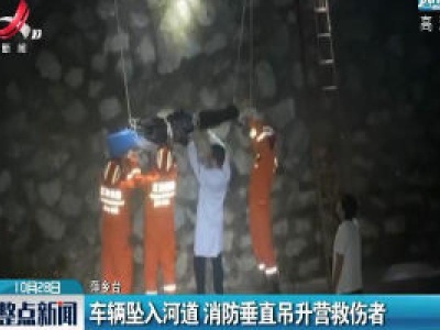 萍乡：车辆坠入河道 消防垂直吊升营救伤者 