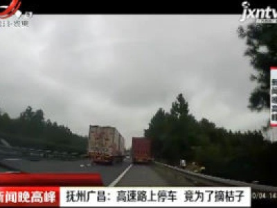 抚州广昌：高速路上停车 竟为了摘桔子