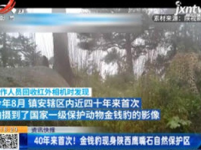 40年来首次！金钱豹现身陕西鹰嘴石自然保护区