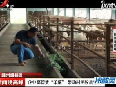 赣州赣县区：企业高管变“羊倌” 带动村民脱贫致富
