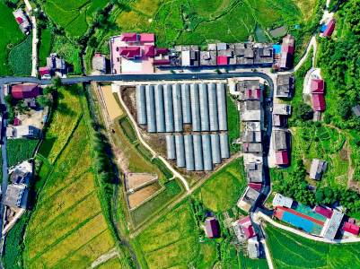 产业兴旺致富奔小康——万载县新竹村新竹开新枝旧颜换新貌