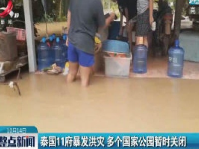 泰国11府暴发洪灾 多个国家公园暂时关闭