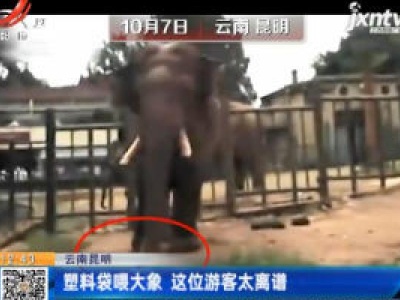 云南昆明：塑料袋喂大象 这位游客太离谱