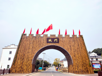 九江市城门街道：改善人居环境 让乡村“颜值”俏起来