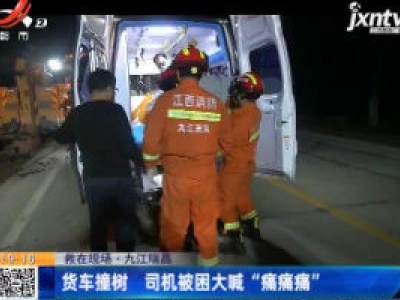 九江瑞昌：货车撞树 司机被困大喊“痛痛痛”