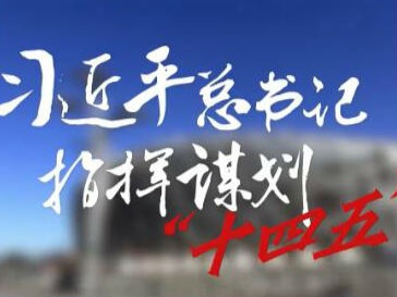 习近平总书记指挥谋划“十四五”——以网为媒 问计于民