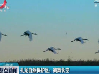 扎龙自然保护区：鹤舞长空