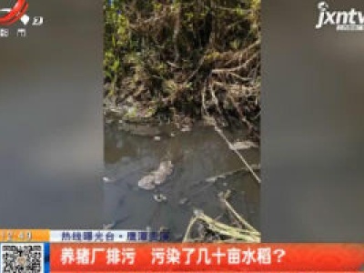 【热线曝光台】鹰潭贵溪：养猪厂排污 污染了几十亩水稻？